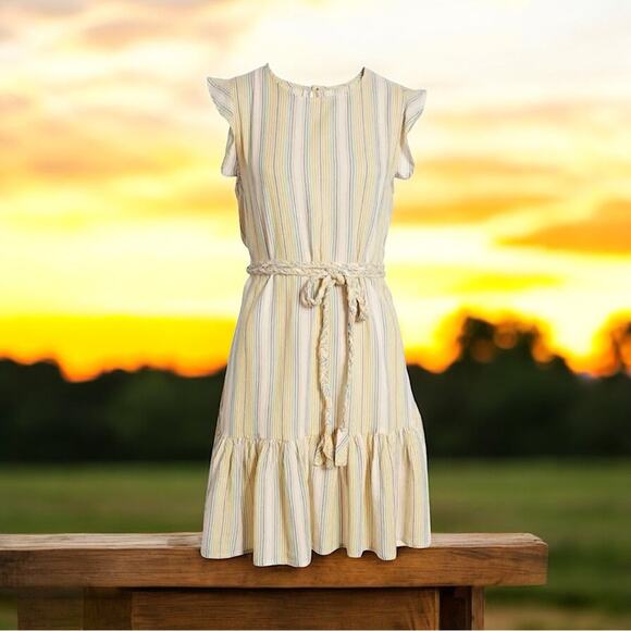 NWT Marine Layer Laney Mini Dress in Beachy Stripe Size Small - Picture 5 of 8